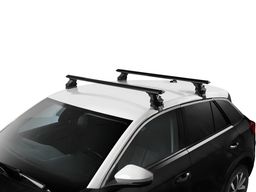 Green Valley dakdragers DS DS 3 Crossback vanaf 2018