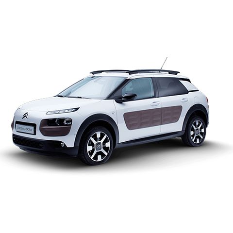 C4 Cactus