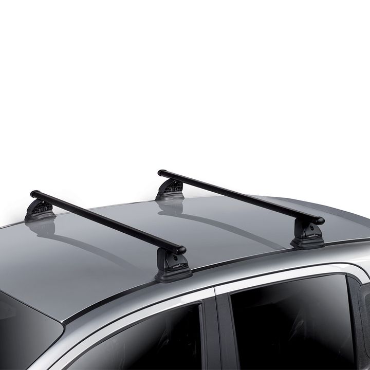 Green Valley dakdragers DS 3 3 deurs hatchback 2010 t/m 2019