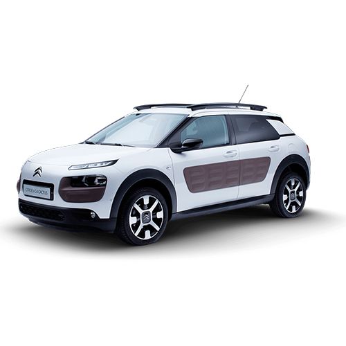 C4 Cactus