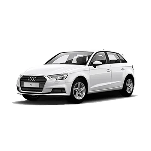 A3
